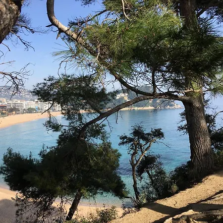 Apartment Vivalidays Alicia - Fenals - Lloret De *